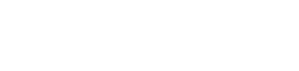Vvittore logo